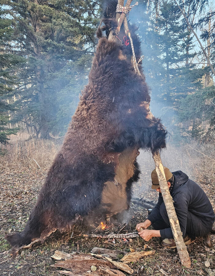 Bison Hide